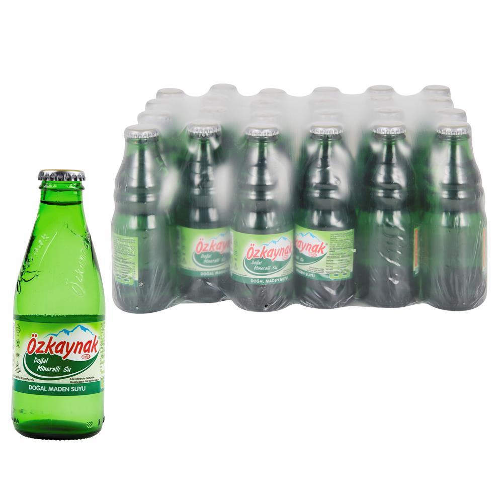 ÖZKAYNAK SADE SODA *24